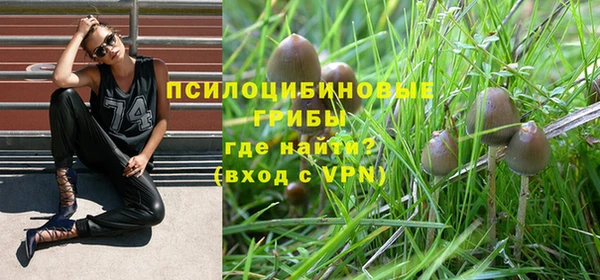 первитин Нягань