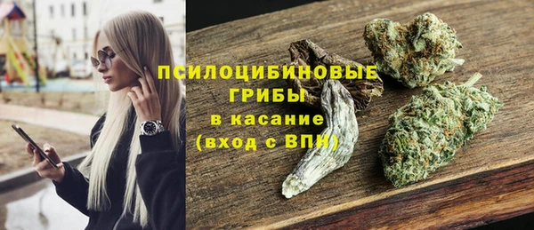 альфа пвп Няндома