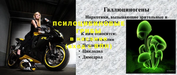 эйфоретик Нязепетровск