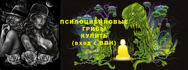 альфа пвп Няндома