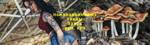 ALPHA PVP Осташков