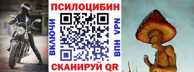 где можно купить   Энем  Галлюциногенные грибы Psilocybine cubensis 